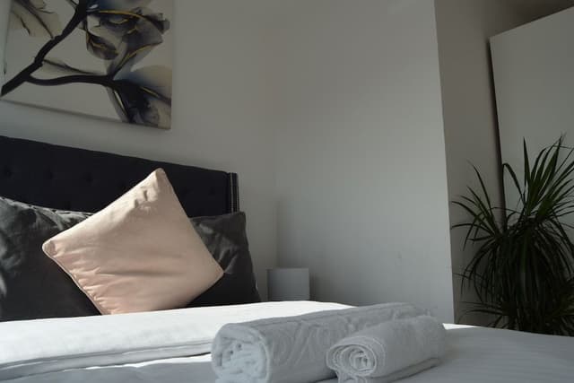 Apartment, Private Bathroom (2 bed Deluxe apartment )