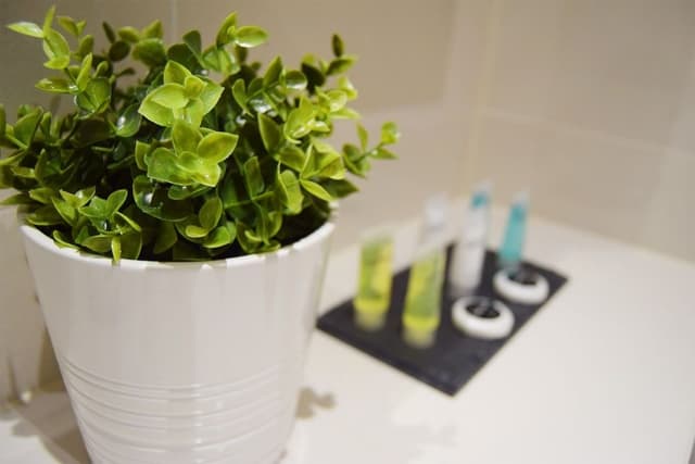 Apartment, Private Bathroom (2 bed Deluxe apartment )