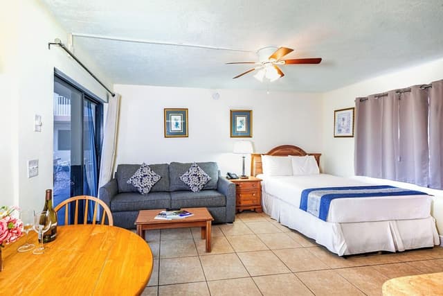 Studio, 1 Queen Bed with Sofa bed