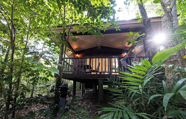 Kingfisher Suite