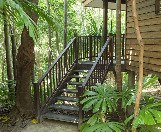 Jungle Walk Bungalow