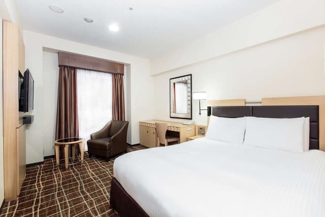 1 QUEEN BED ACCESSIBLE
