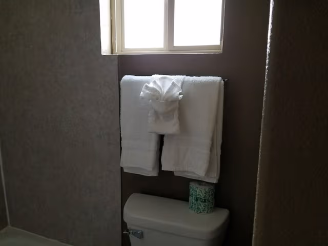 Single Room (Basic Single Room No pets allowed)