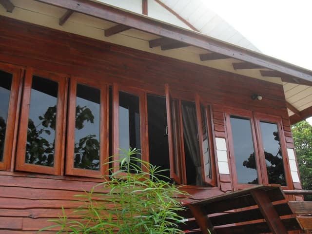 Family Suite (Coto)
