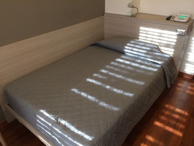 Single Room, 1 Large Twin Bed