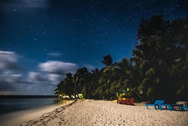 All Inclusive Full Island Rental
