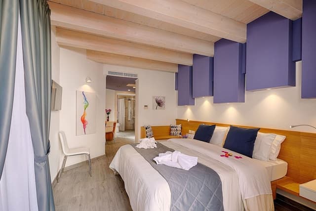 Double or Twin Room