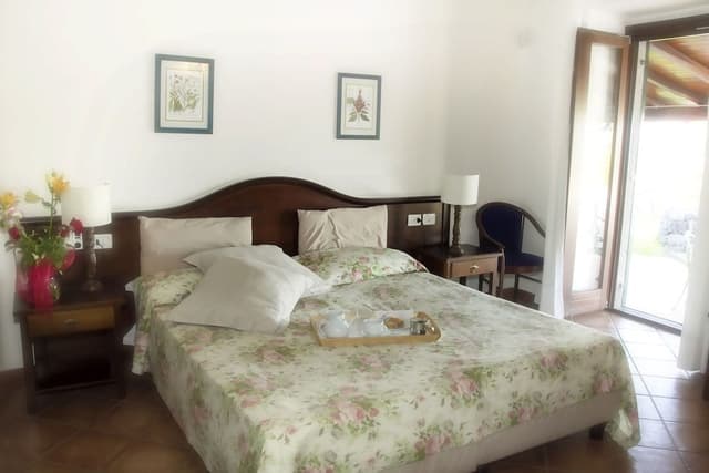 Double or Twin Room