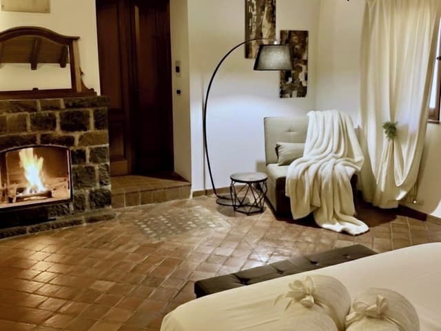 Superior Room (fireplace)
