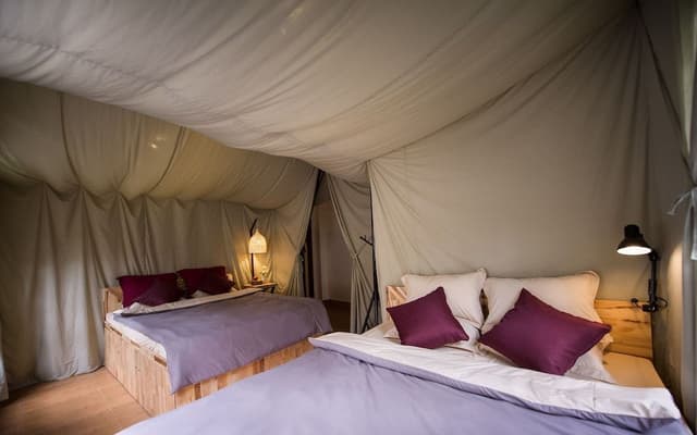 Deluxe Room, Mountain View