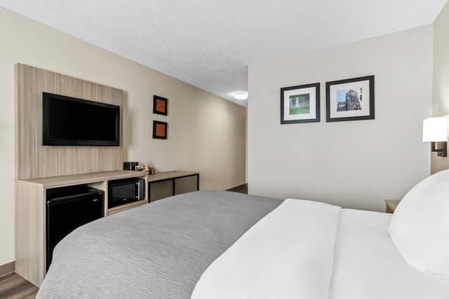 Room, 1 King Bed, Accessible, Non Smoking
