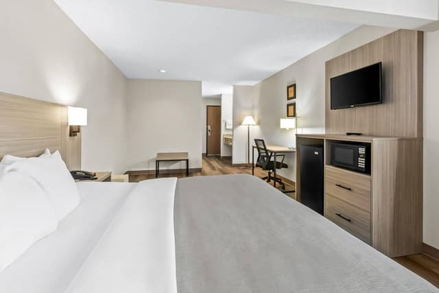 Room, 1 King Bed, Accessible, Non Smoking