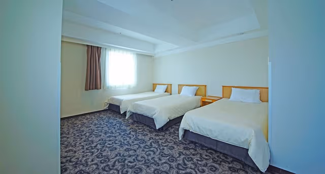 Triple Room, Non Smoking