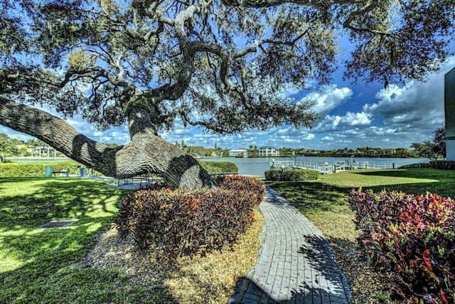 Condo (Bay Oaks C 2nd Floor)
