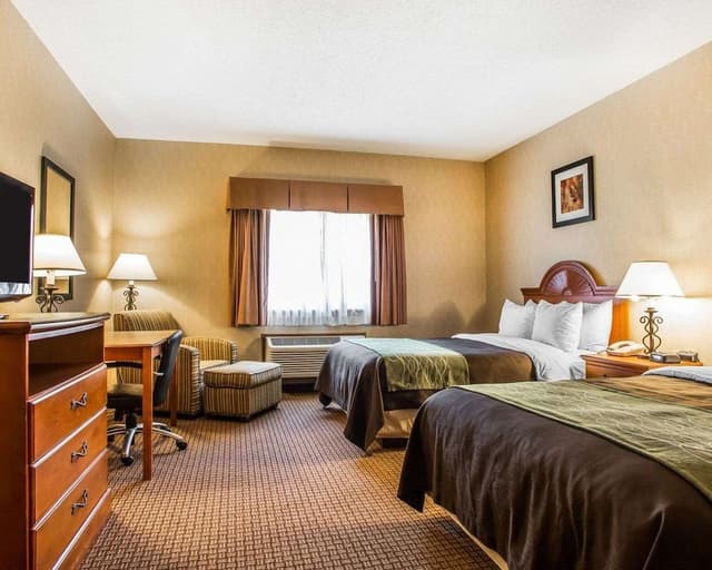 Standard Double Room, 2 Double Beds, Non Smoking