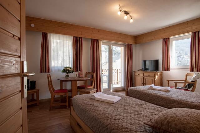 Studio, 2 Twin Beds, Balcony, Mountain View