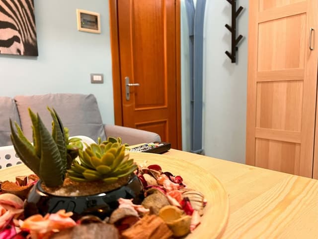 Junior Studio Suite
