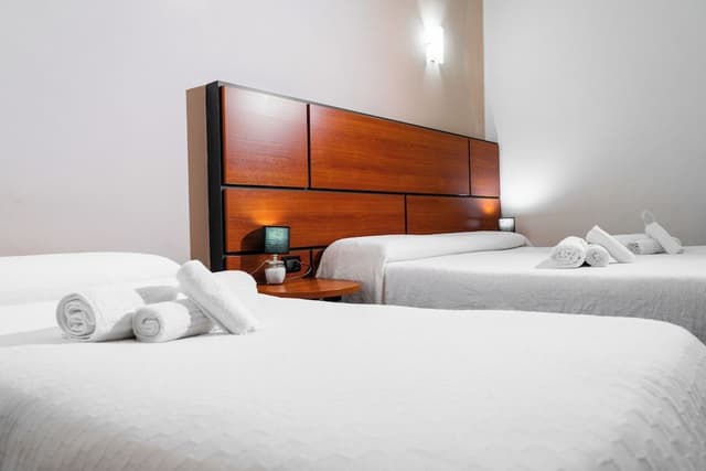 Basic Triple Room
