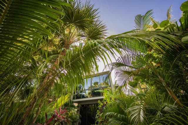 Junior Suite with Garden View