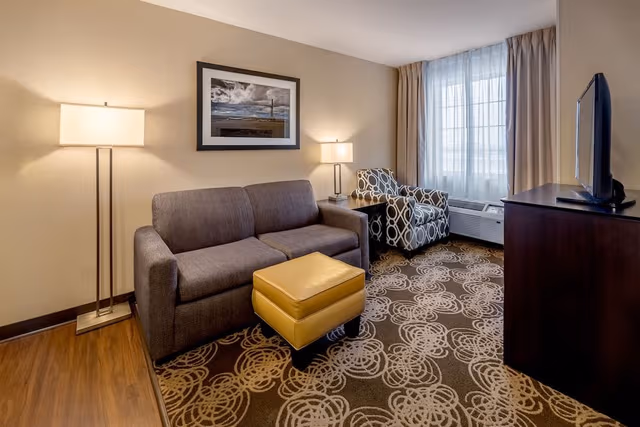 Standard Studio, 1 King Bed with Sofa bed