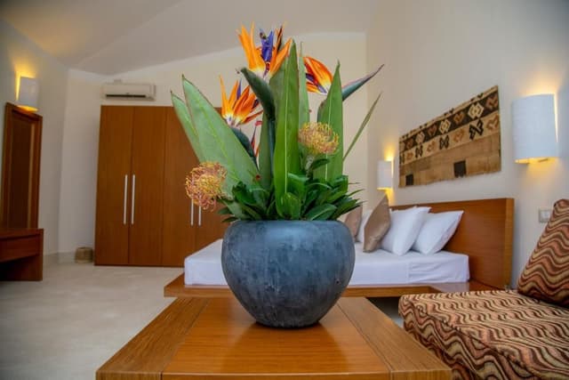 Garden View Room