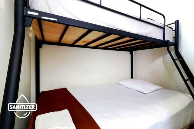 Bunk Bed Standard Fan (Shared Bathroom)