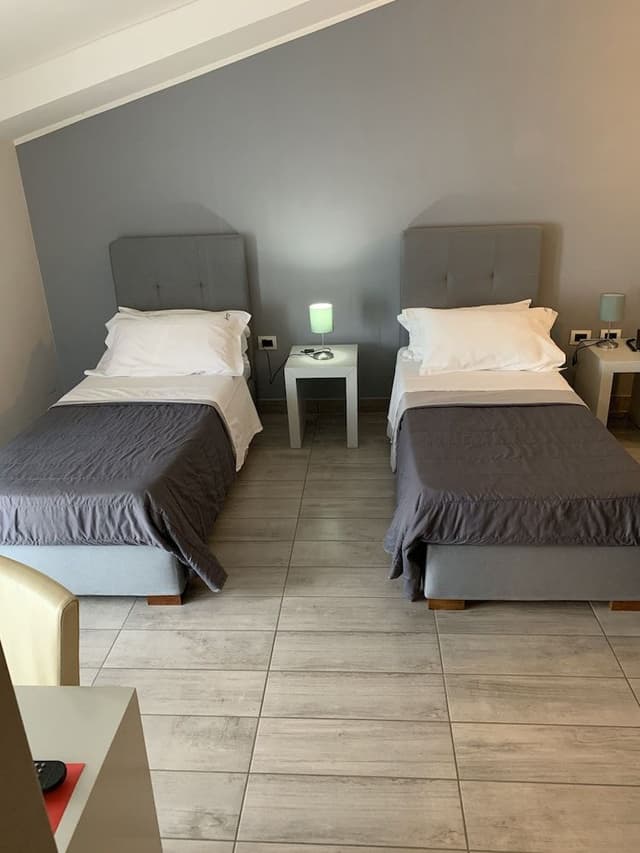 Standard Twin Room