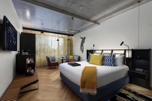 QT King Room