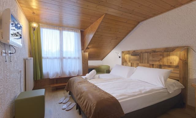 Double or Twin Room