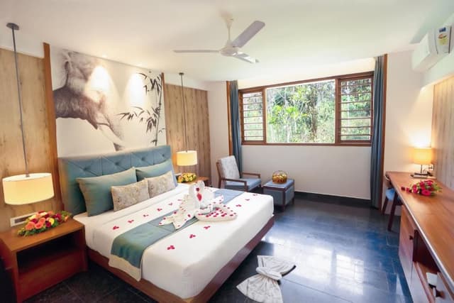 Deluxe Double or Twin Room