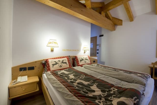 Panoramic Double or Twin Room