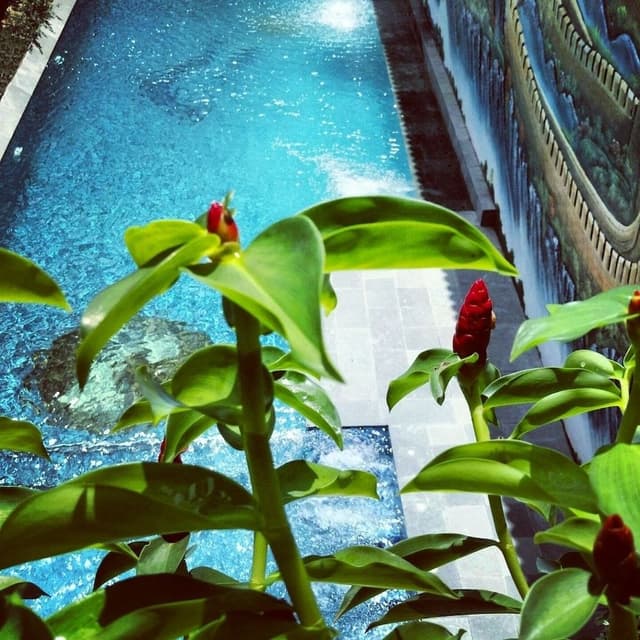 Grand Suite, 1 Bedroom, Non Smoking, Pool View