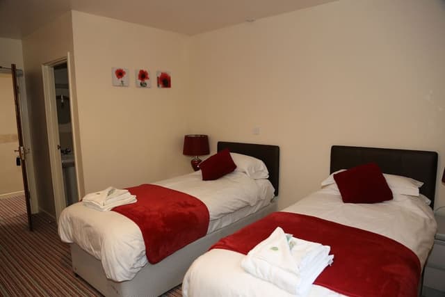 Deluxe Twin Room, Ensuite