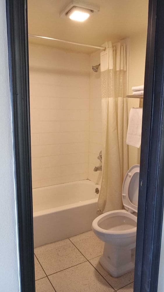 Deluxe Single Room, 1 King Bed