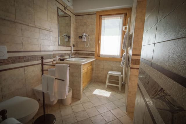Superior Double or Twin Room