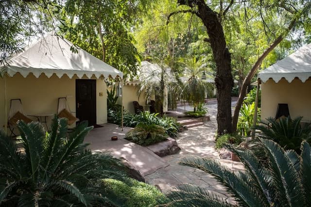 Vintage Tent