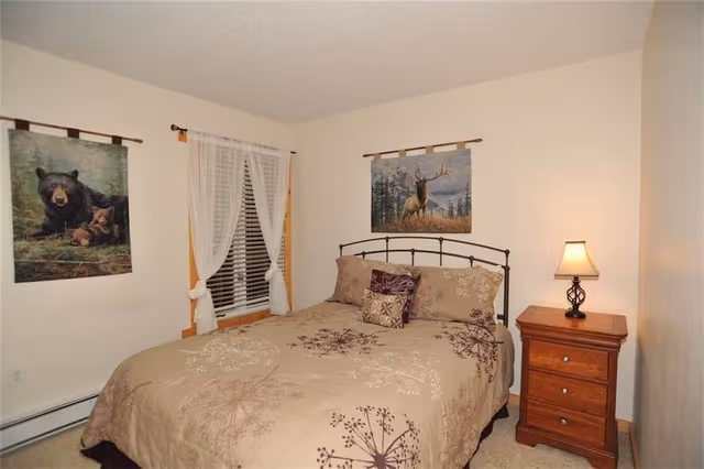 Standard Condo, 1 Bedroom, Fireplace, Lake View