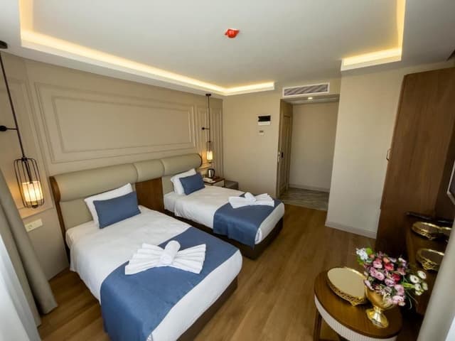 Deluxe Double or Twin Room