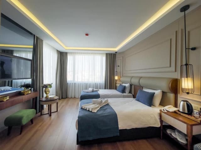 Deluxe Double or Twin Room