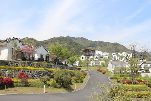 Lucun Suite