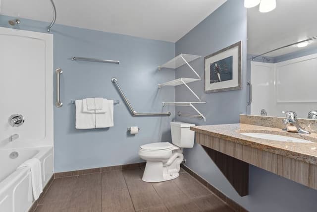 Deluxe Condo, 2 Bedrooms, Kitchen