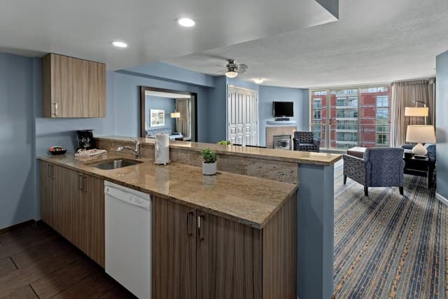 Deluxe Condo, 2 Bedrooms, Kitchen