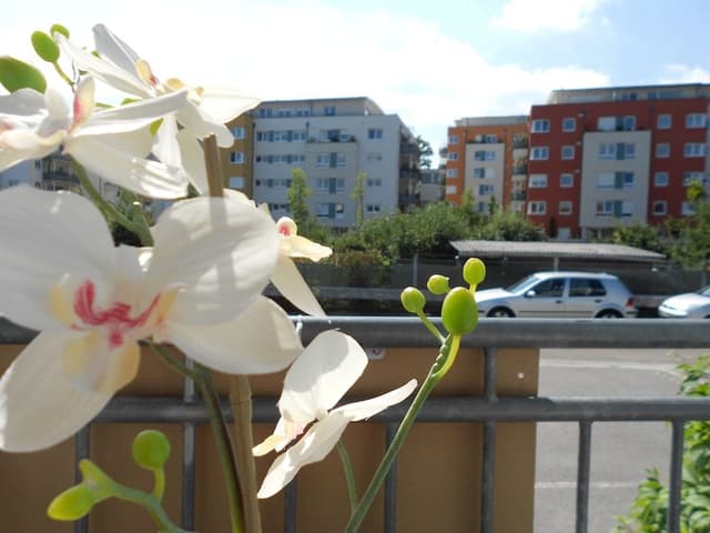 Studio, 1 Double Bed with Sofa bed, Balcony (incl. EUR 25 cleaning fee)