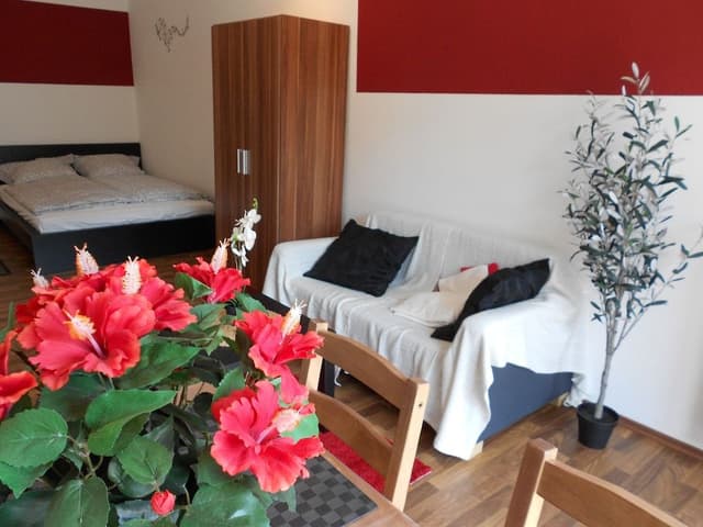 Studio, 1 Double Bed with Sofa bed, Balcony (incl. EUR 25 cleaning fee)
