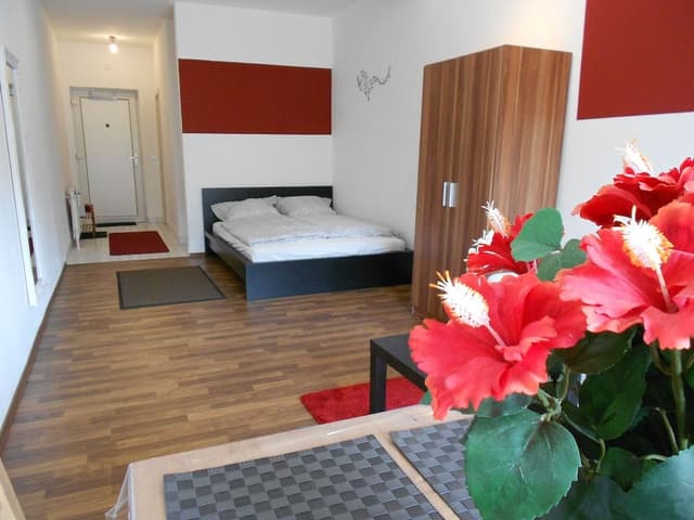 Studio, 1 Double Bed with Sofa bed, Balcony (incl. EUR 25 cleaning fee)