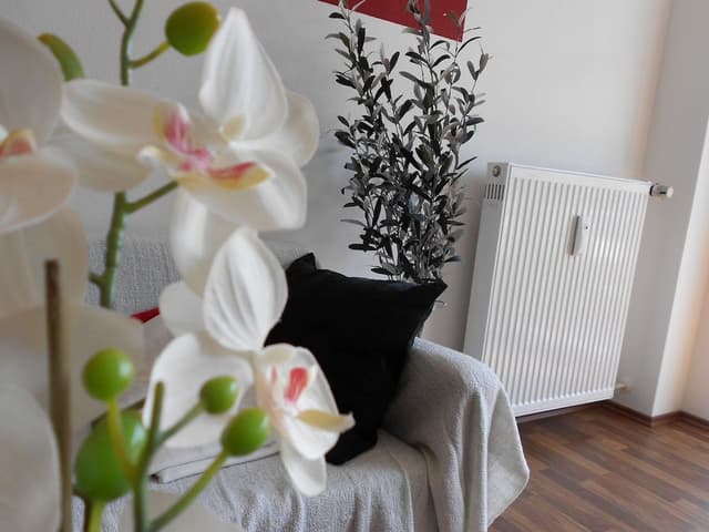 Studio, 1 Double Bed with Sofa bed, Balcony (incl. EUR 25 cleaning fee)