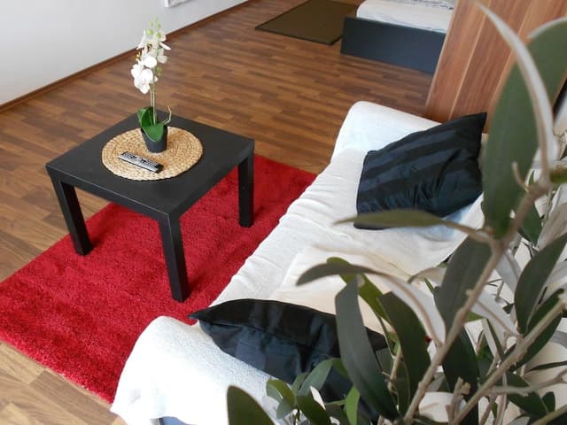 Studio, 1 Double Bed with Sofa bed, Balcony (incl. EUR 25 cleaning fee)