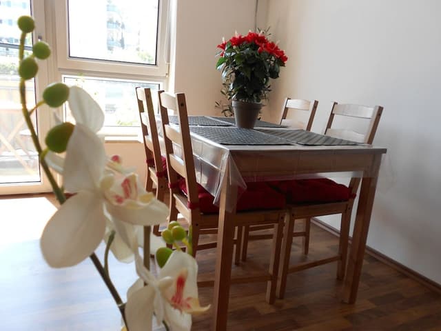 Studio, 1 Double Bed with Sofa bed, Balcony (incl. EUR 25 cleaning fee)