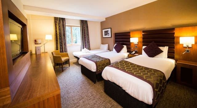 Standard Twin Room, Accessible