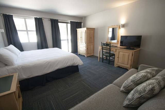 Classic Room, 1 King Bed with Sofa bed